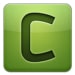 Celery