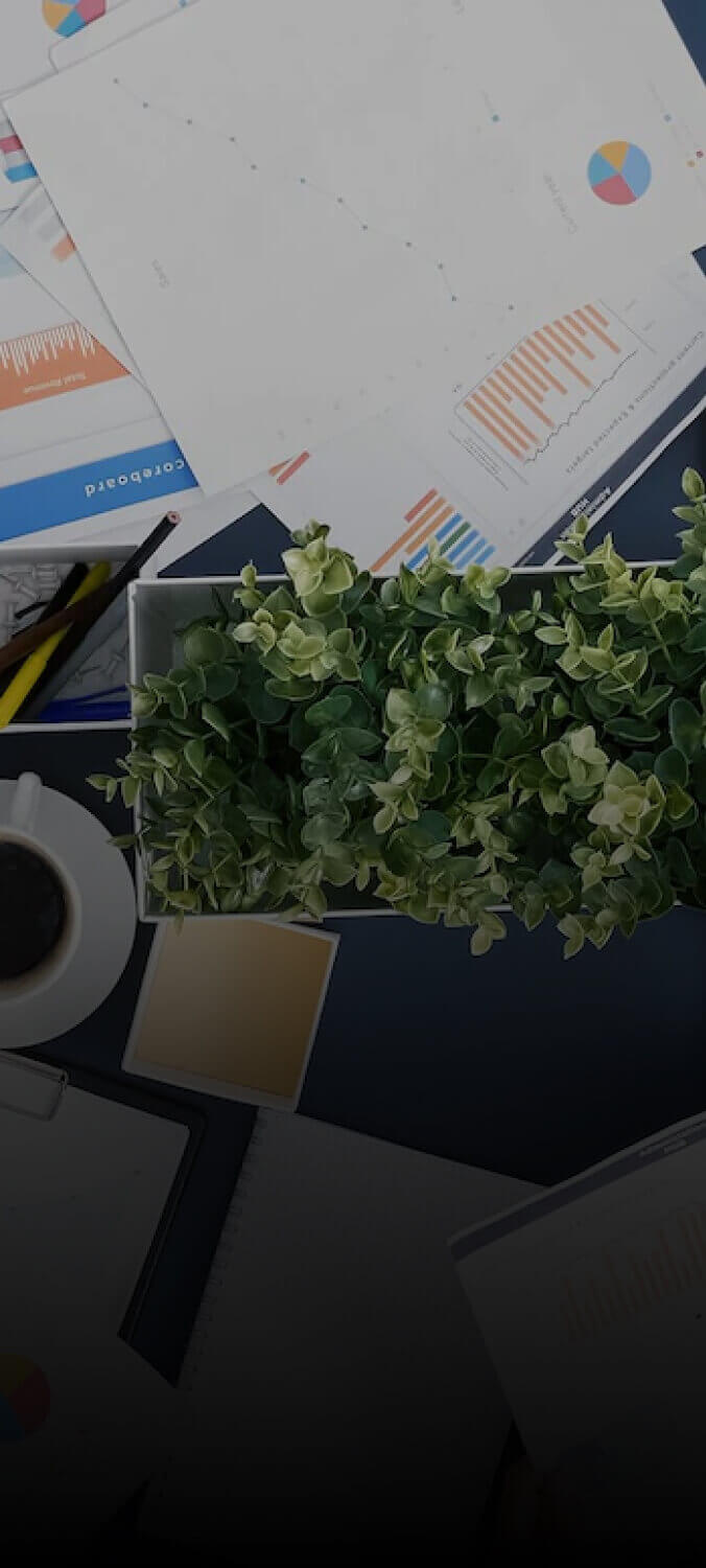 Discover Strategize Architect For Web Application Development